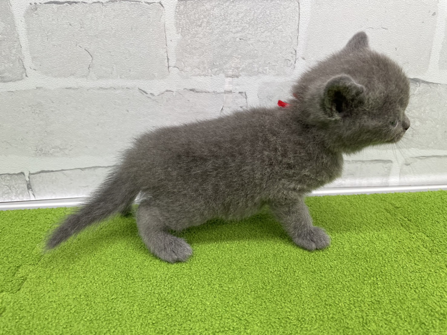 赤ちゃん写真2-2