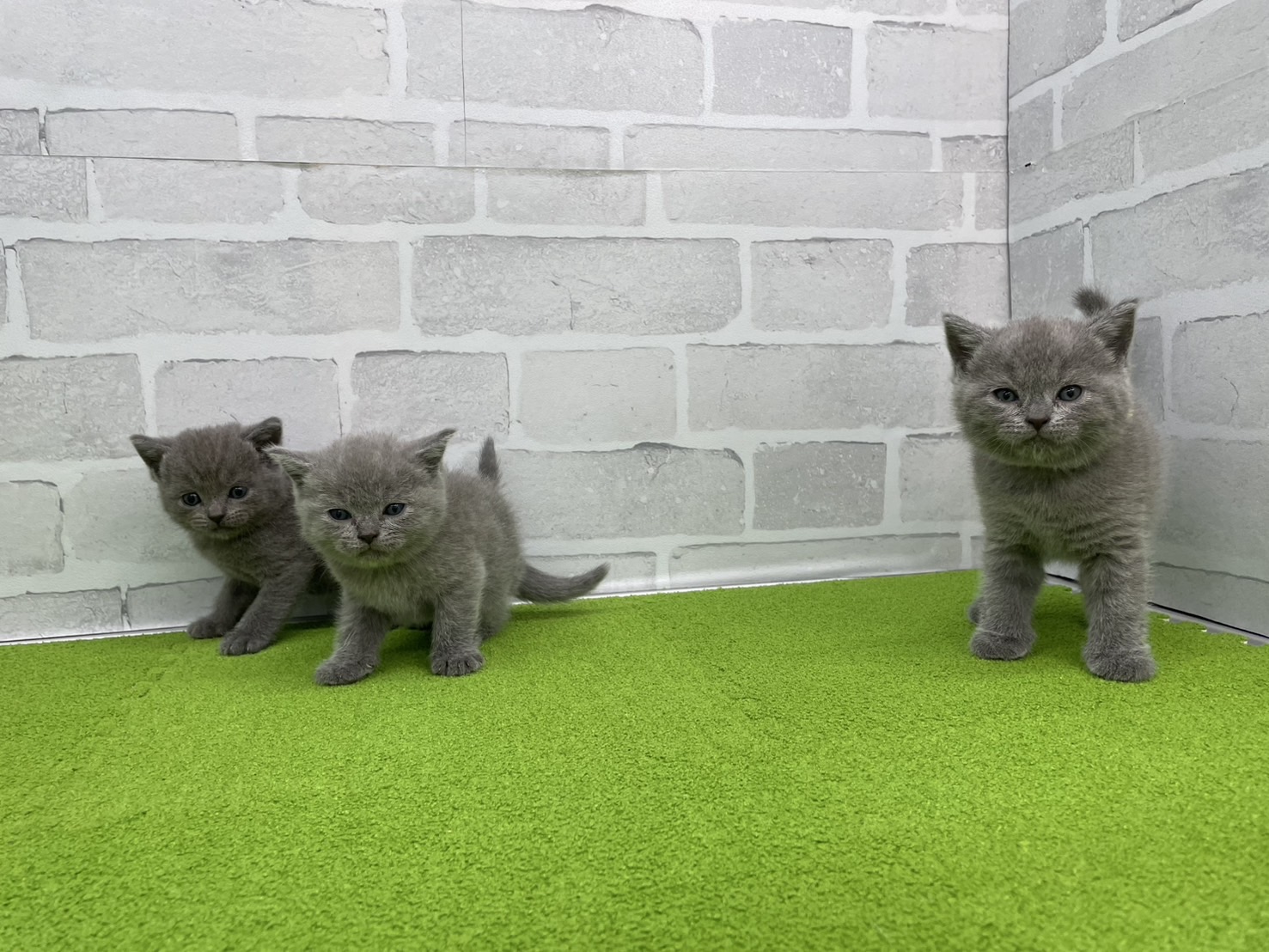 赤ちゃん写真2-3