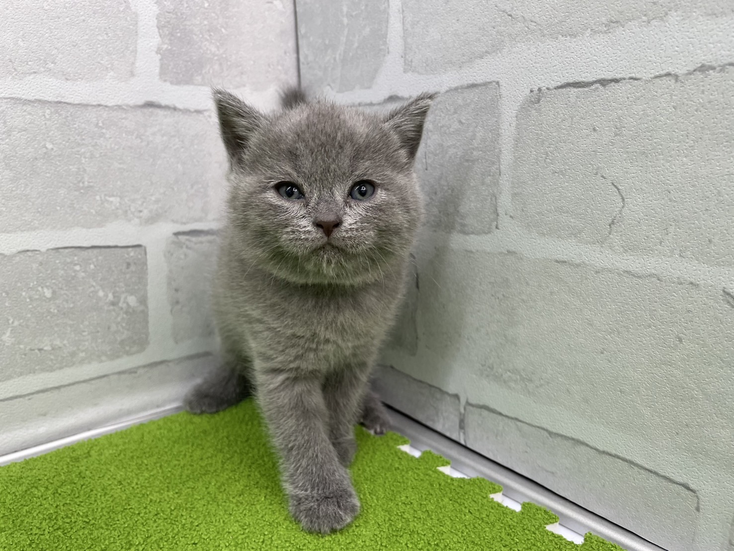 赤ちゃん写真2-1