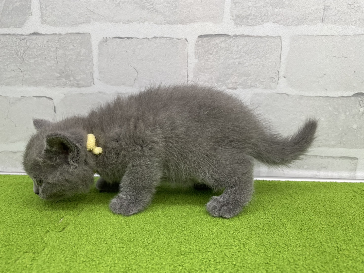 赤ちゃん写真2-2