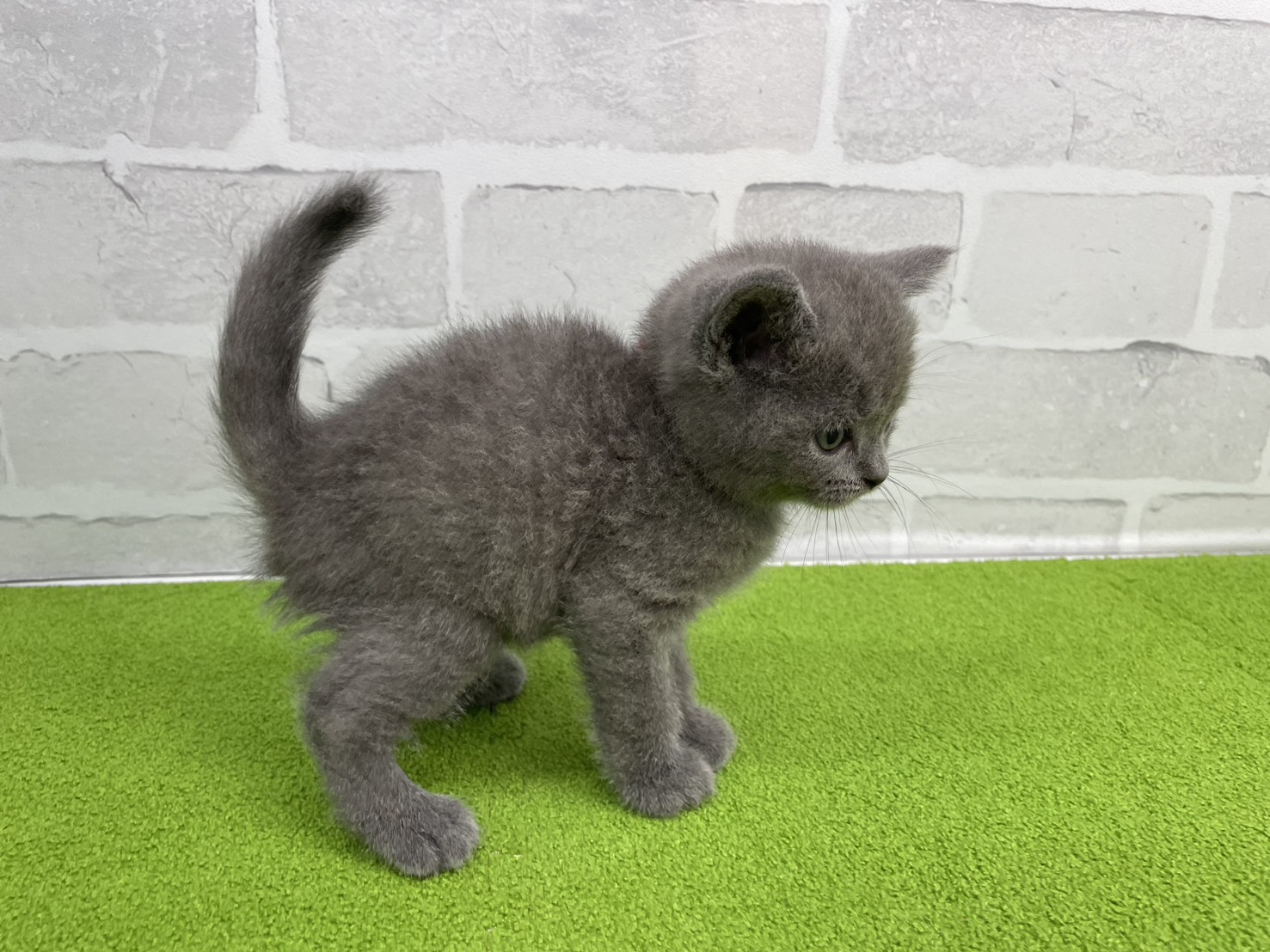 赤ちゃん写真3-2