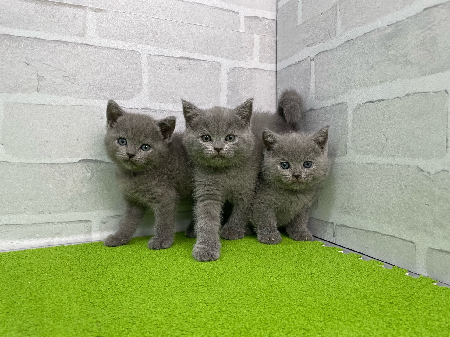 赤ちゃん写真3-3