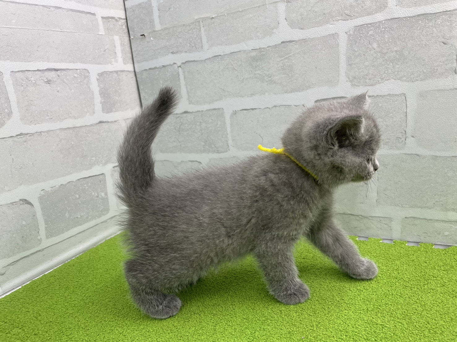 赤ちゃん写真3-2