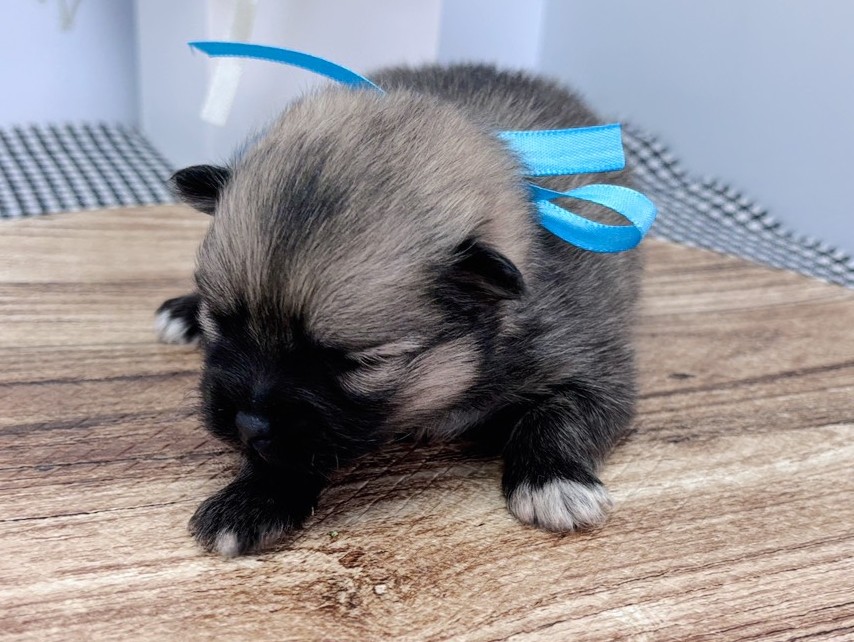 赤ちゃん写真1-1