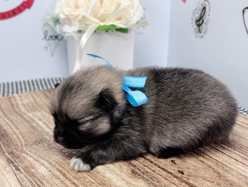 赤ちゃん写真1-2