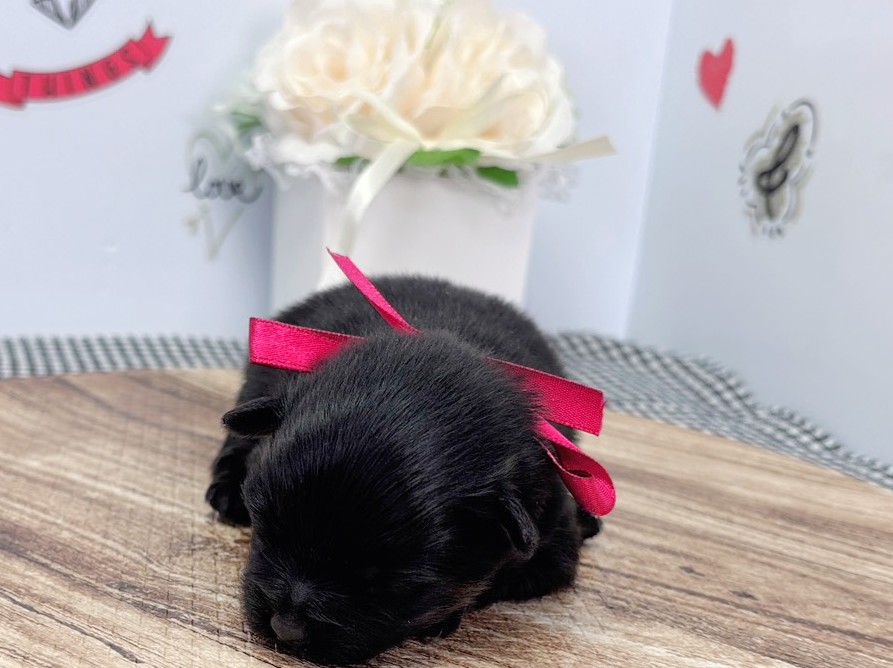 赤ちゃん写真1-1