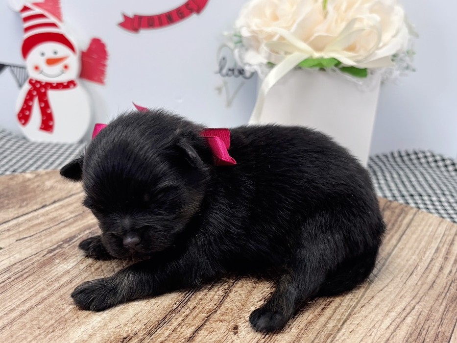 赤ちゃん写真1-2