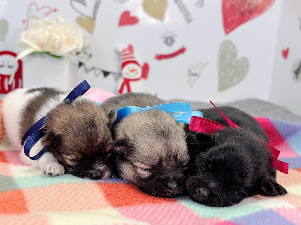 赤ちゃん写真1-3