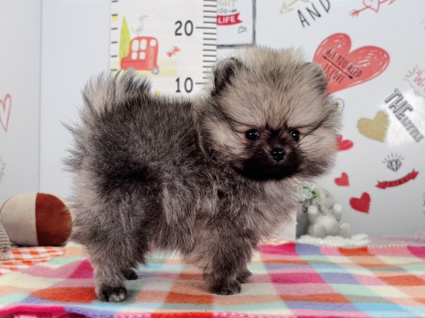 赤ちゃん写真2-2