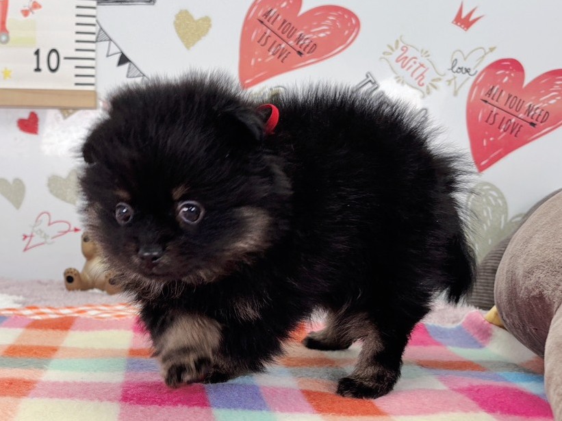 赤ちゃん写真2-2