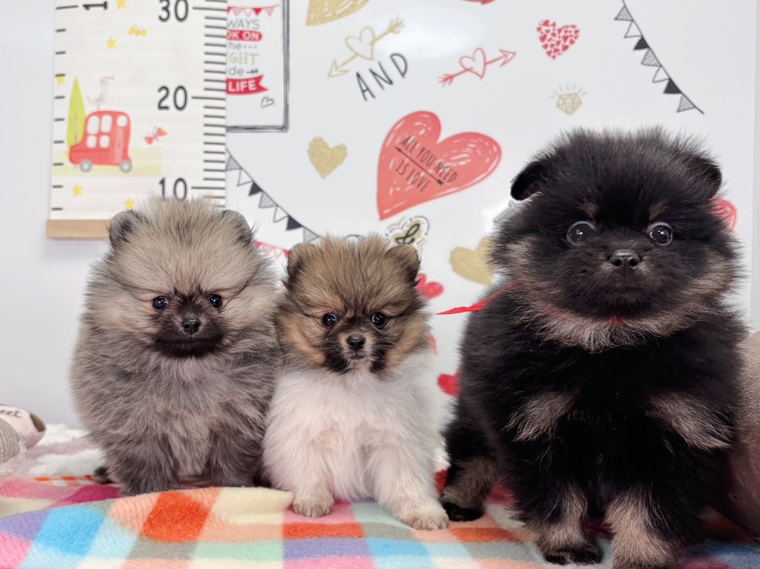 赤ちゃん写真2-3