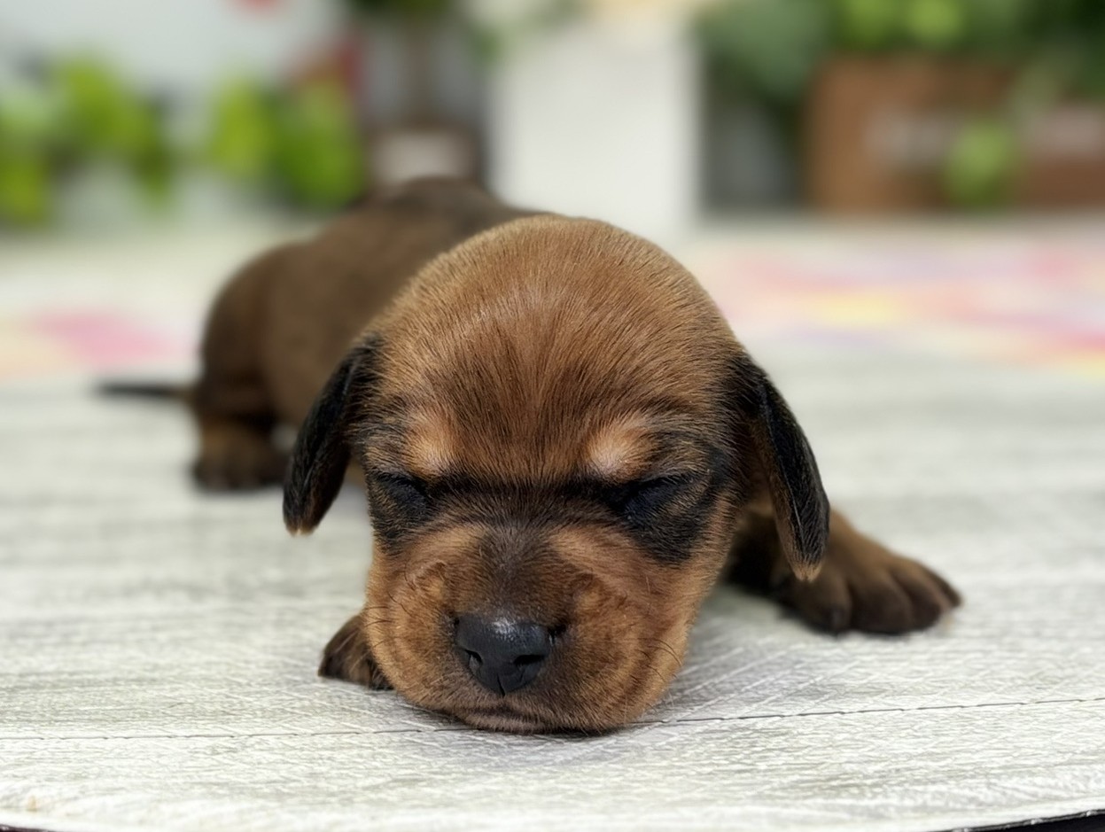 赤ちゃん写真1-1