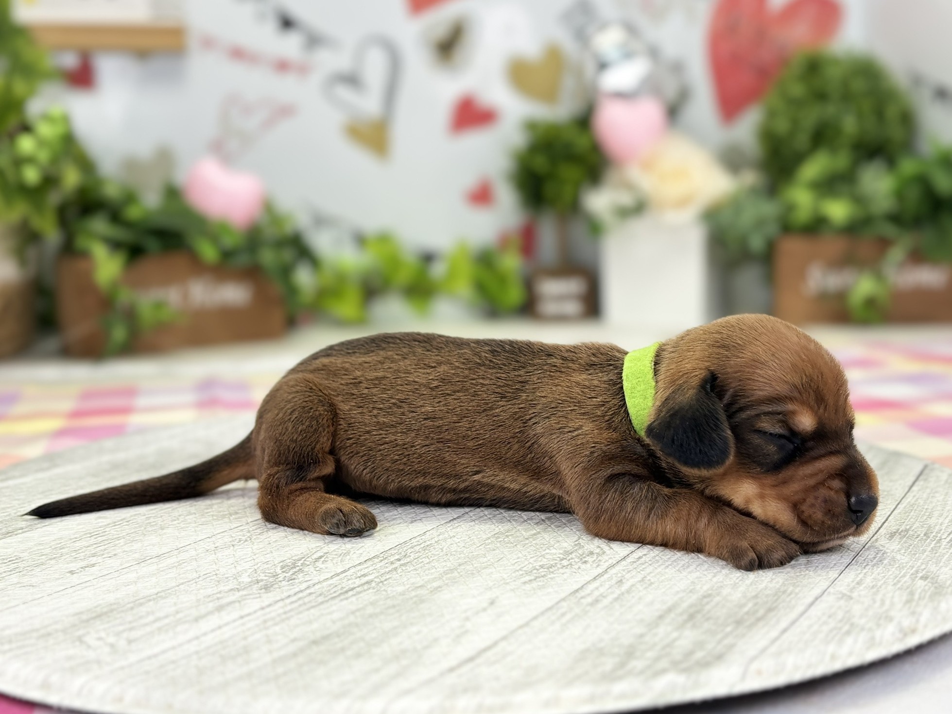 赤ちゃん写真1-2