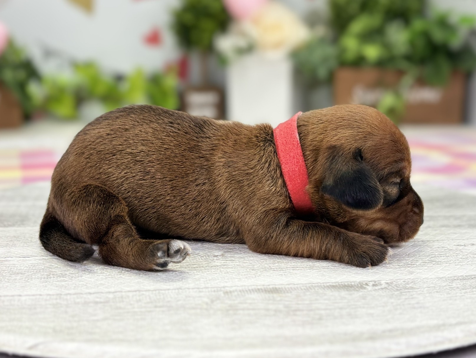 赤ちゃん写真1-2