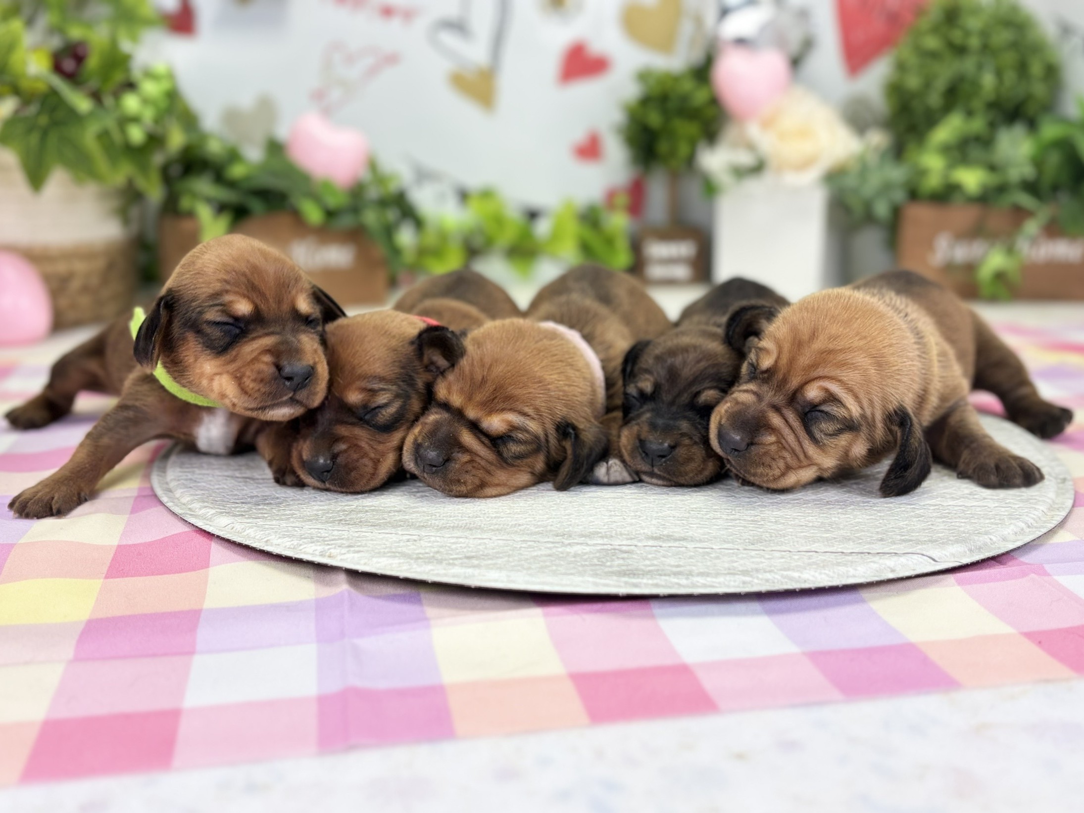 赤ちゃん写真1-3