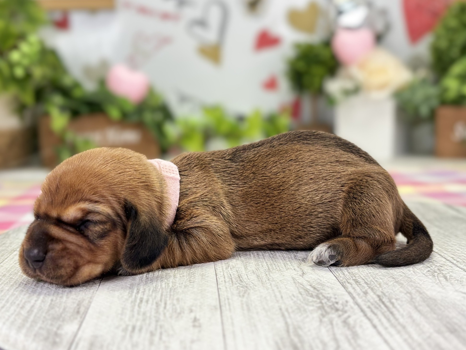 赤ちゃん写真1-2