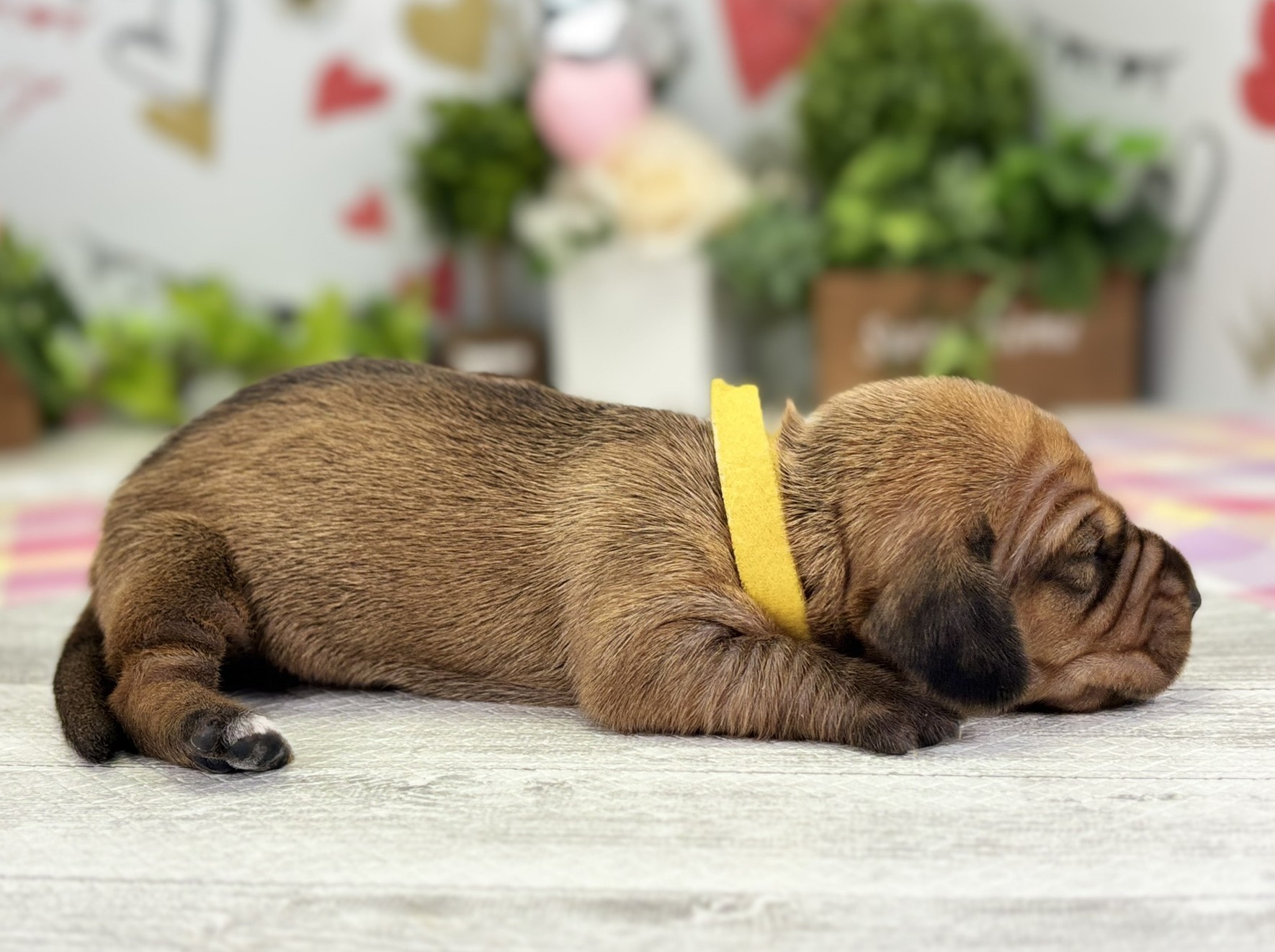 赤ちゃん写真1-2