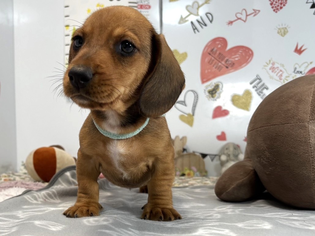 赤ちゃん写真2-1