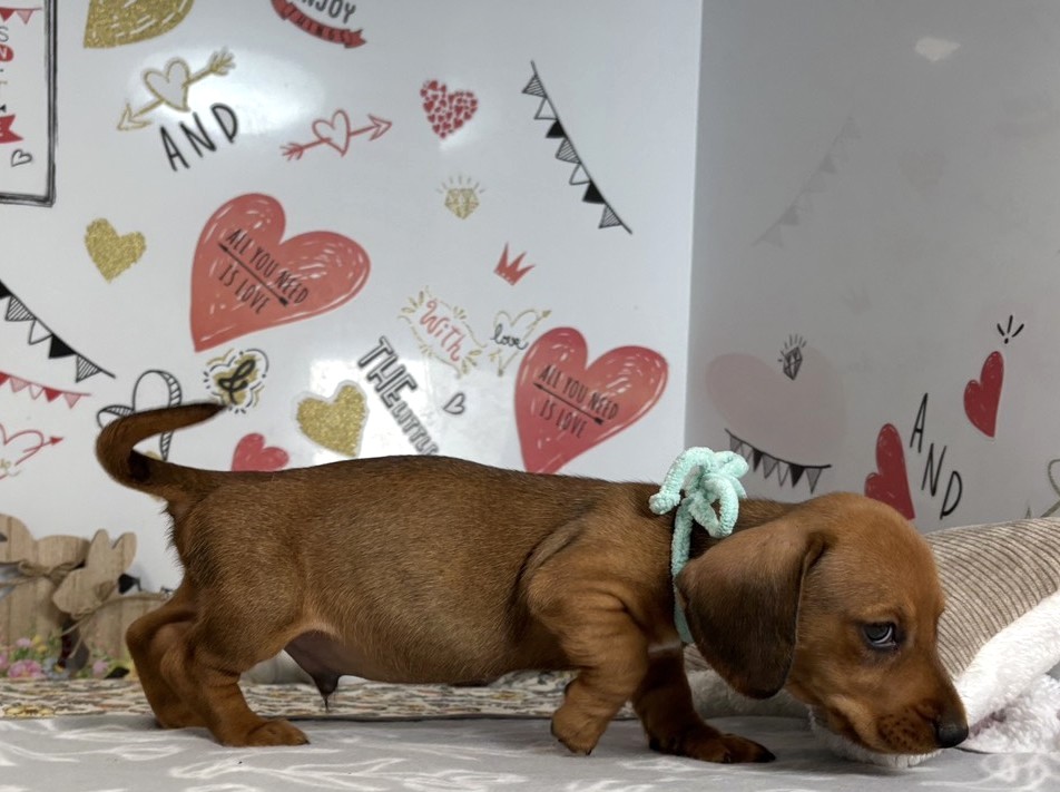 赤ちゃん写真2-2