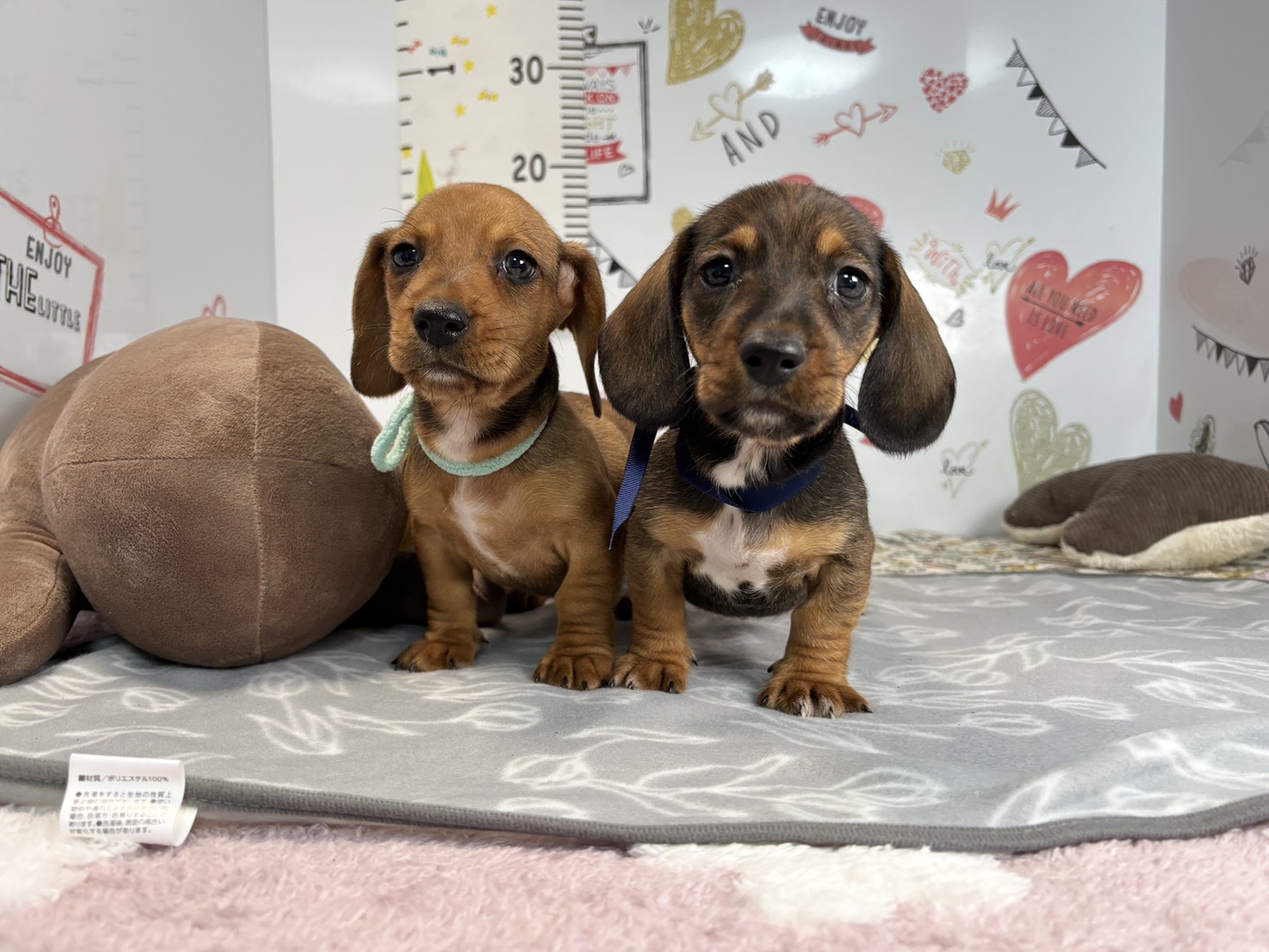 赤ちゃん写真2-3