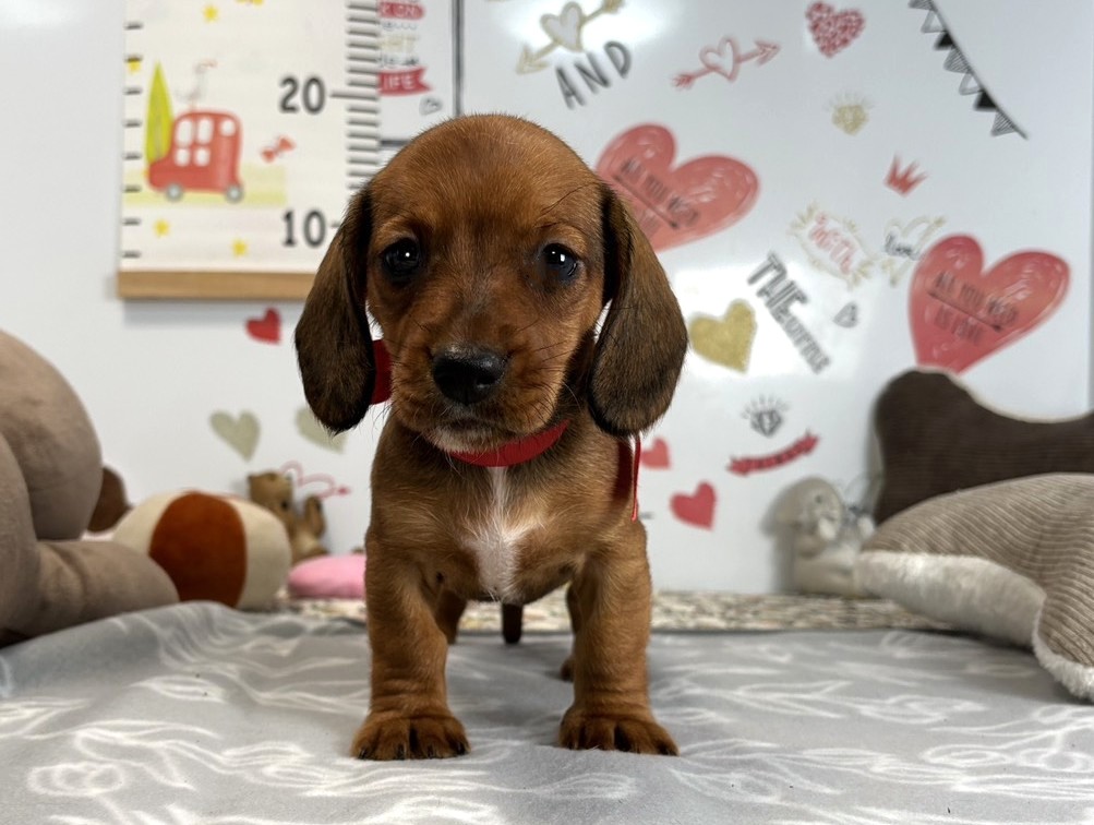 赤ちゃん写真2-1