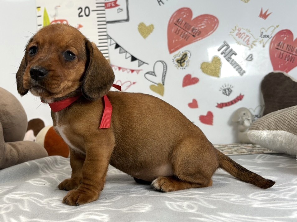 赤ちゃん写真2-2