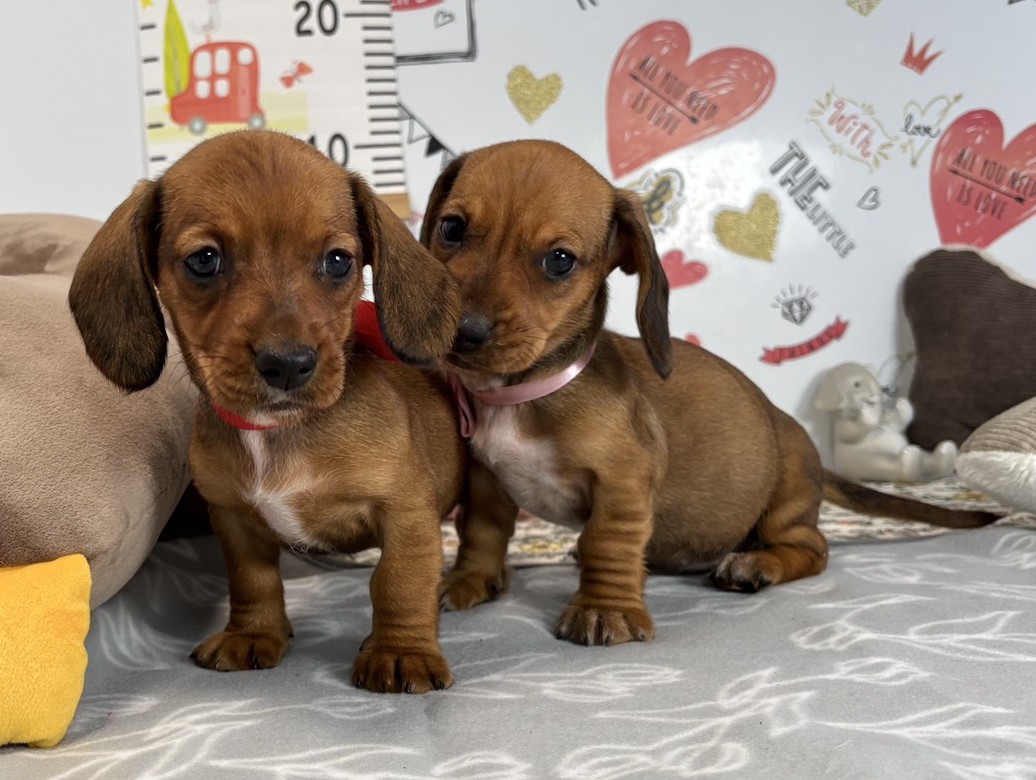 赤ちゃん写真2-3