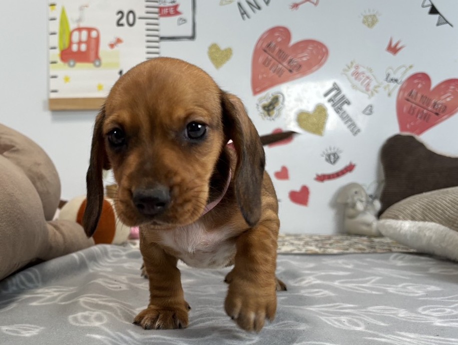 赤ちゃん写真2-1