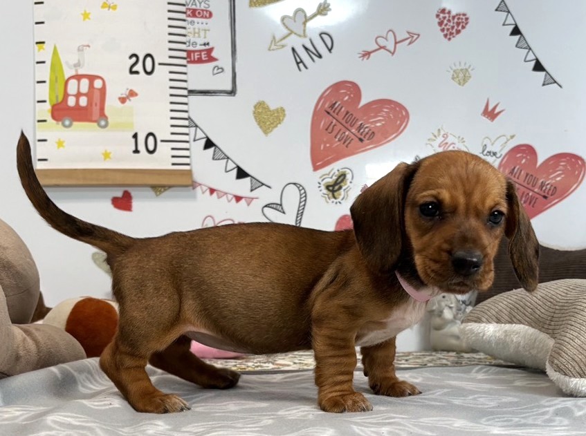 赤ちゃん写真2-2