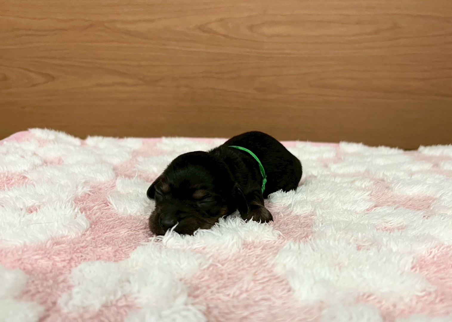 赤ちゃん写真1-1