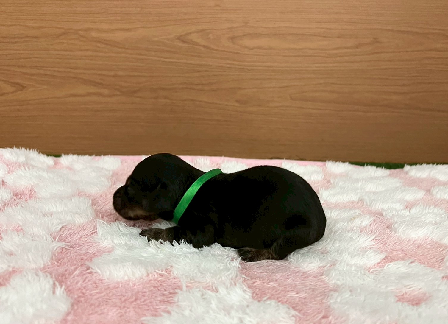 赤ちゃん写真1-2