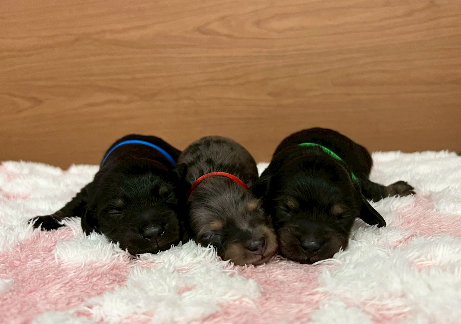 赤ちゃん写真1-3