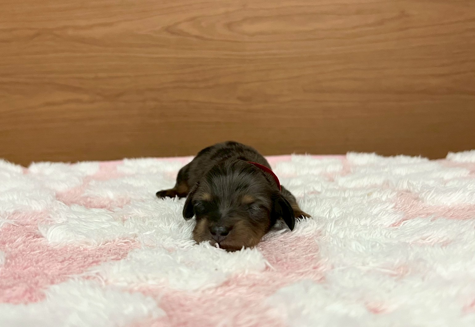 赤ちゃん写真1-1