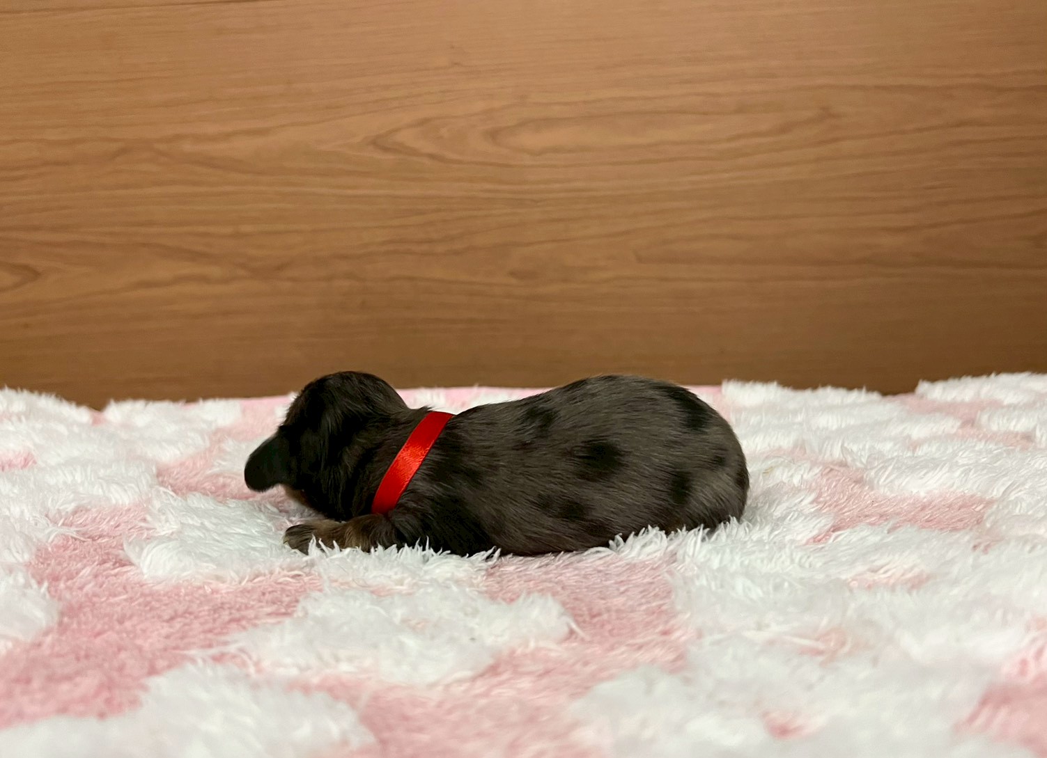 赤ちゃん写真1-2