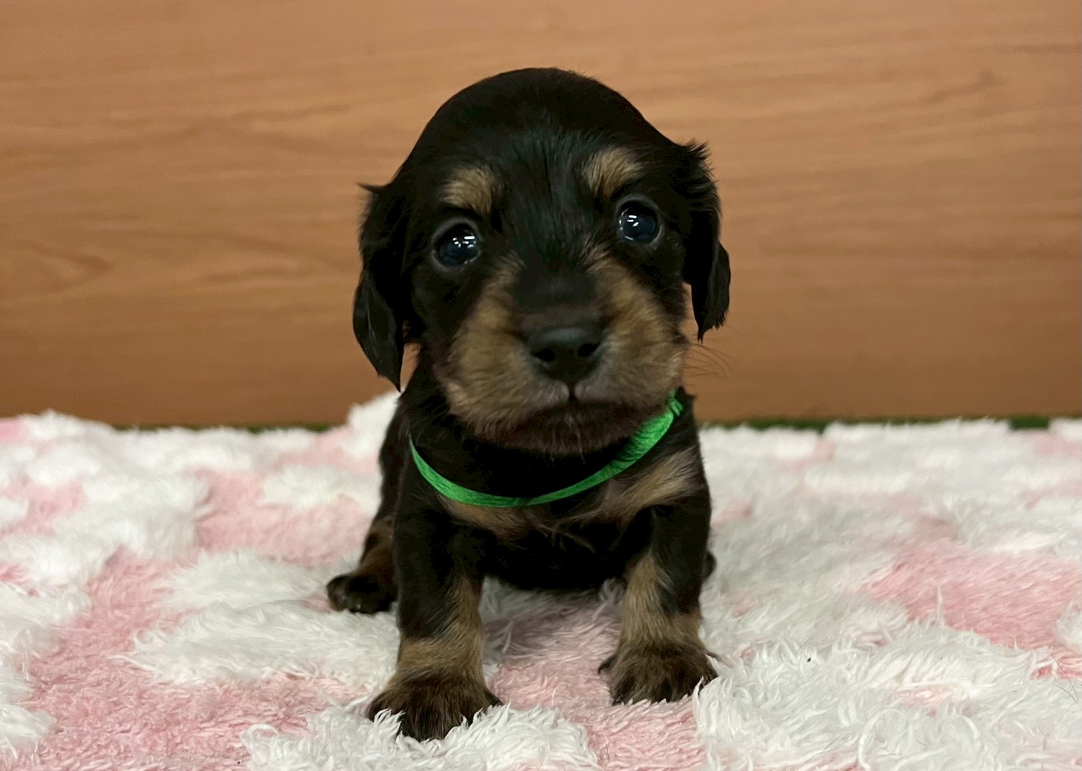 赤ちゃん写真2-1