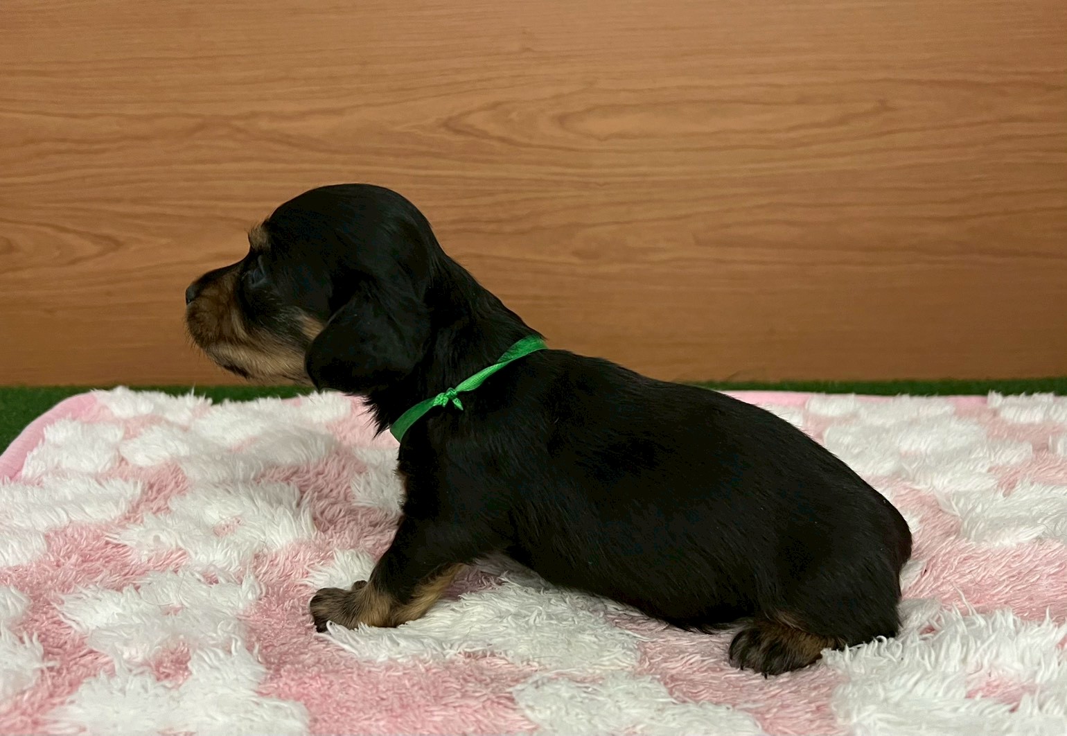 赤ちゃん写真2-2