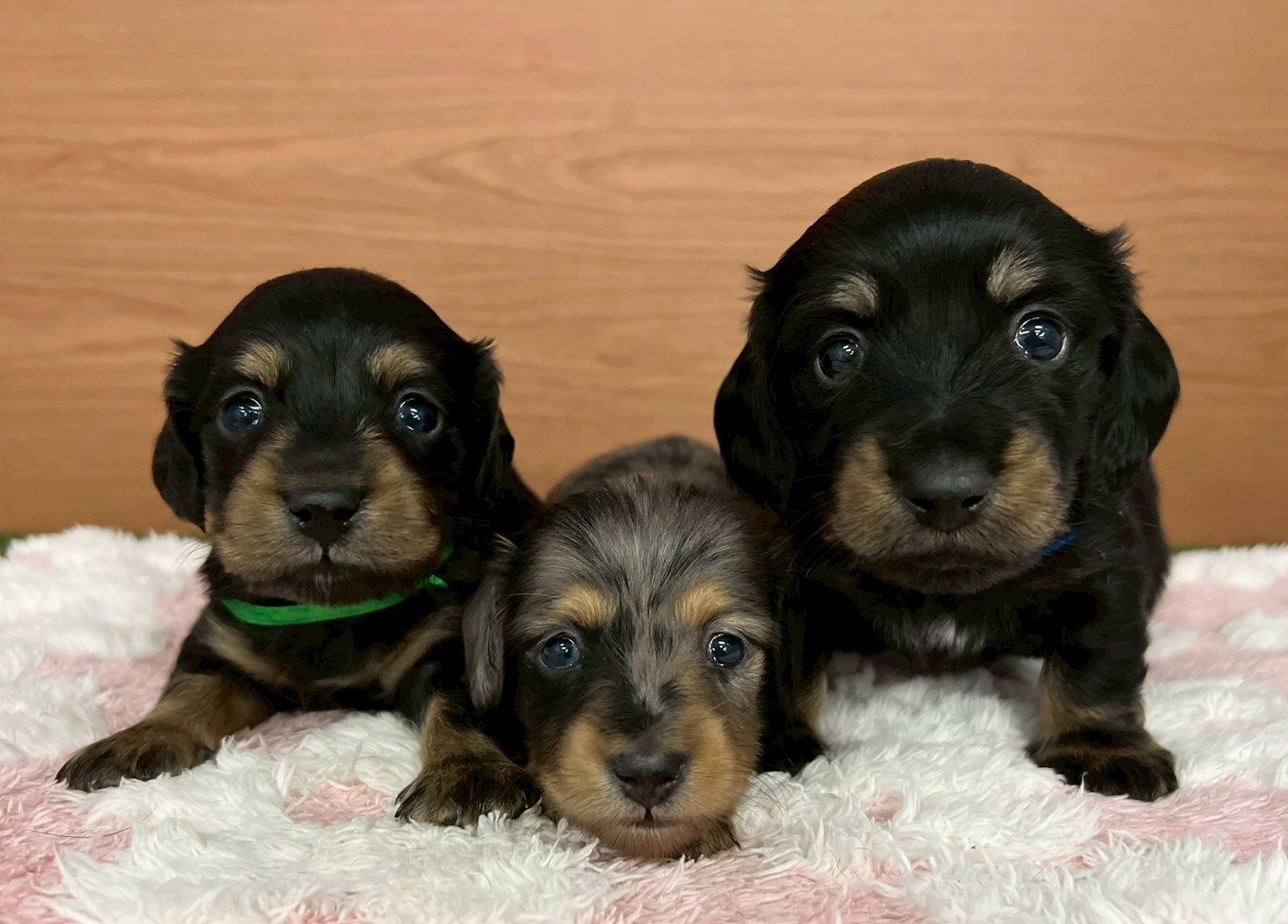 赤ちゃん写真2-3