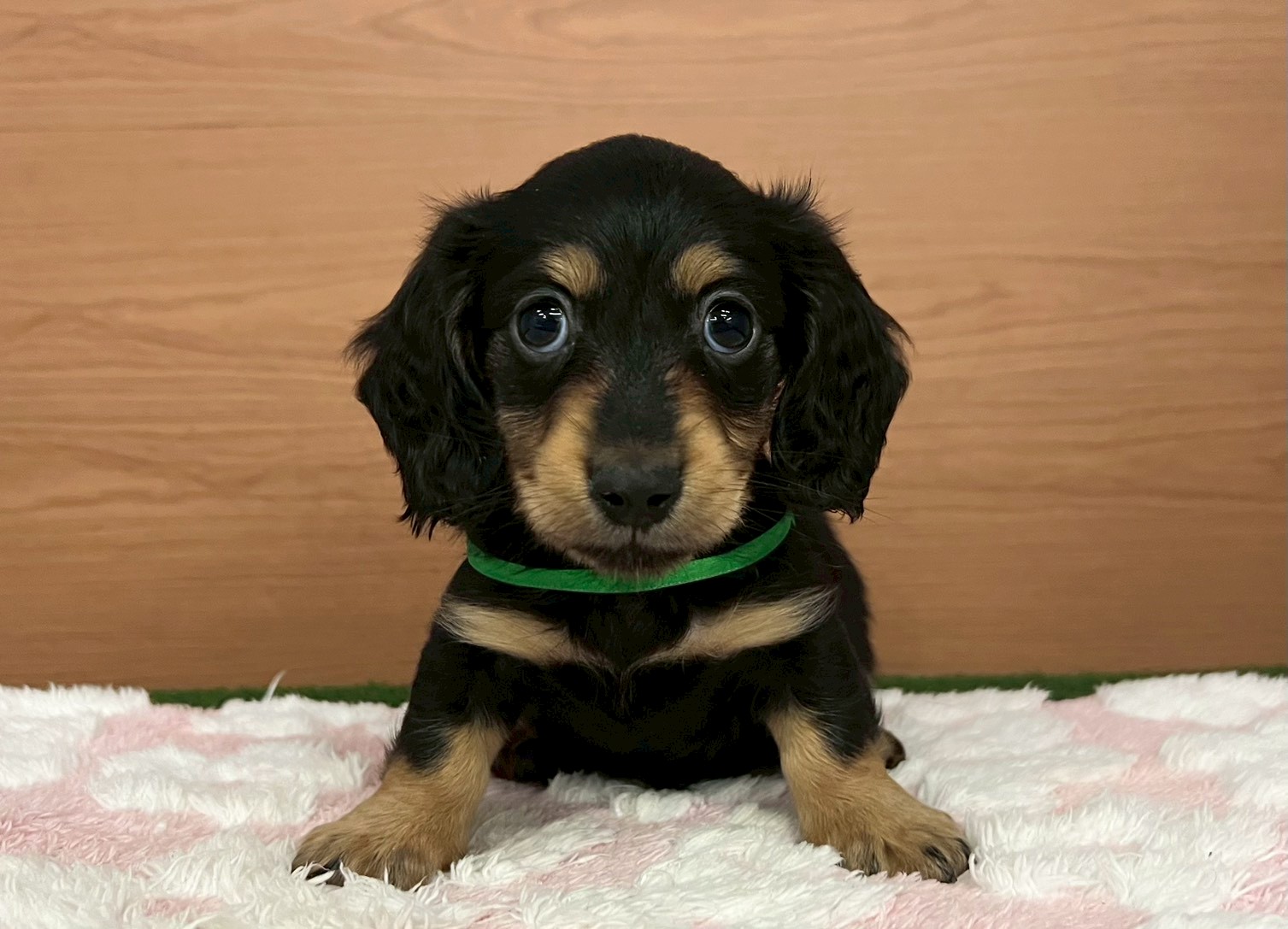 赤ちゃん写真3-1