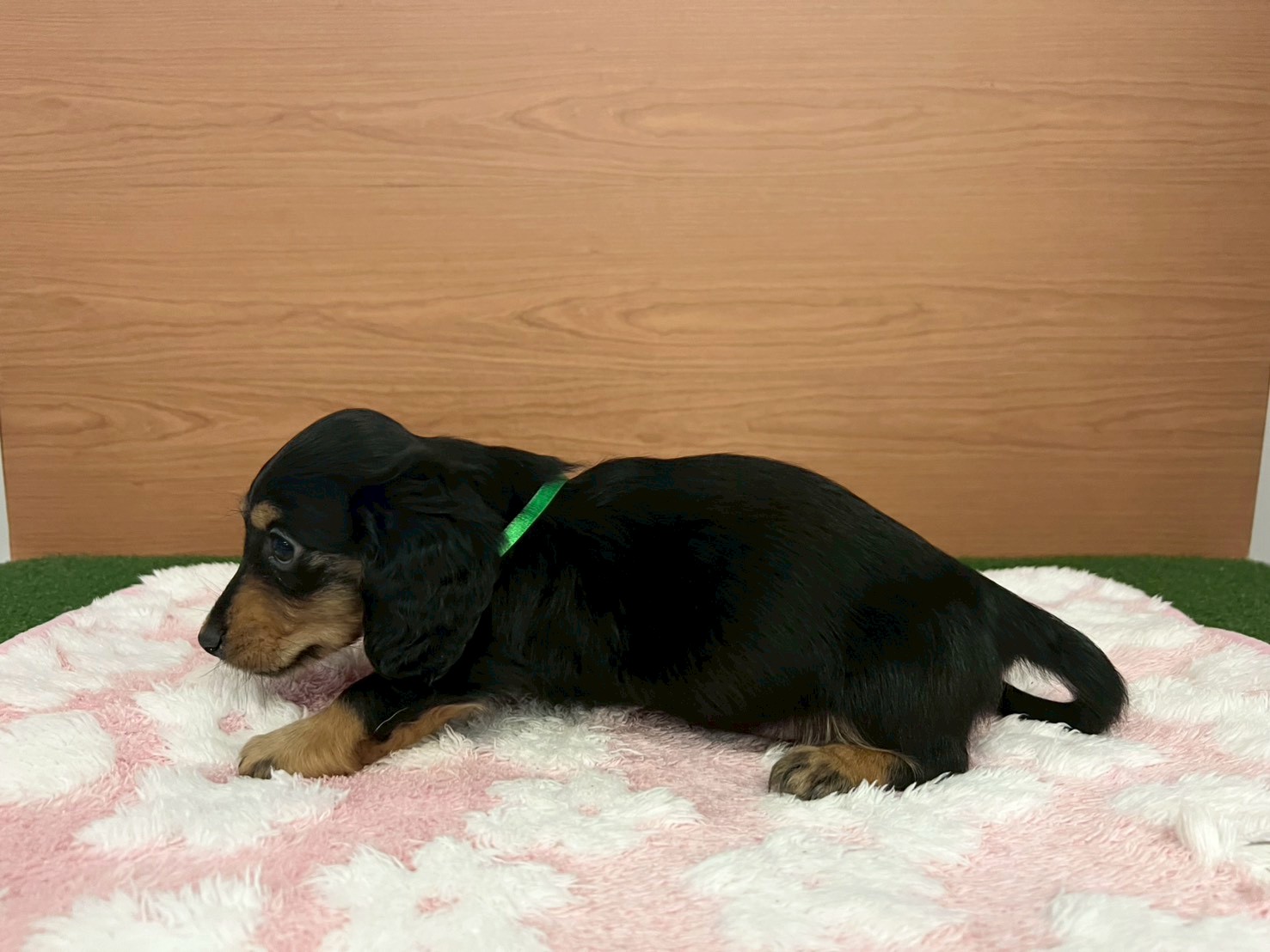 赤ちゃん写真3-2