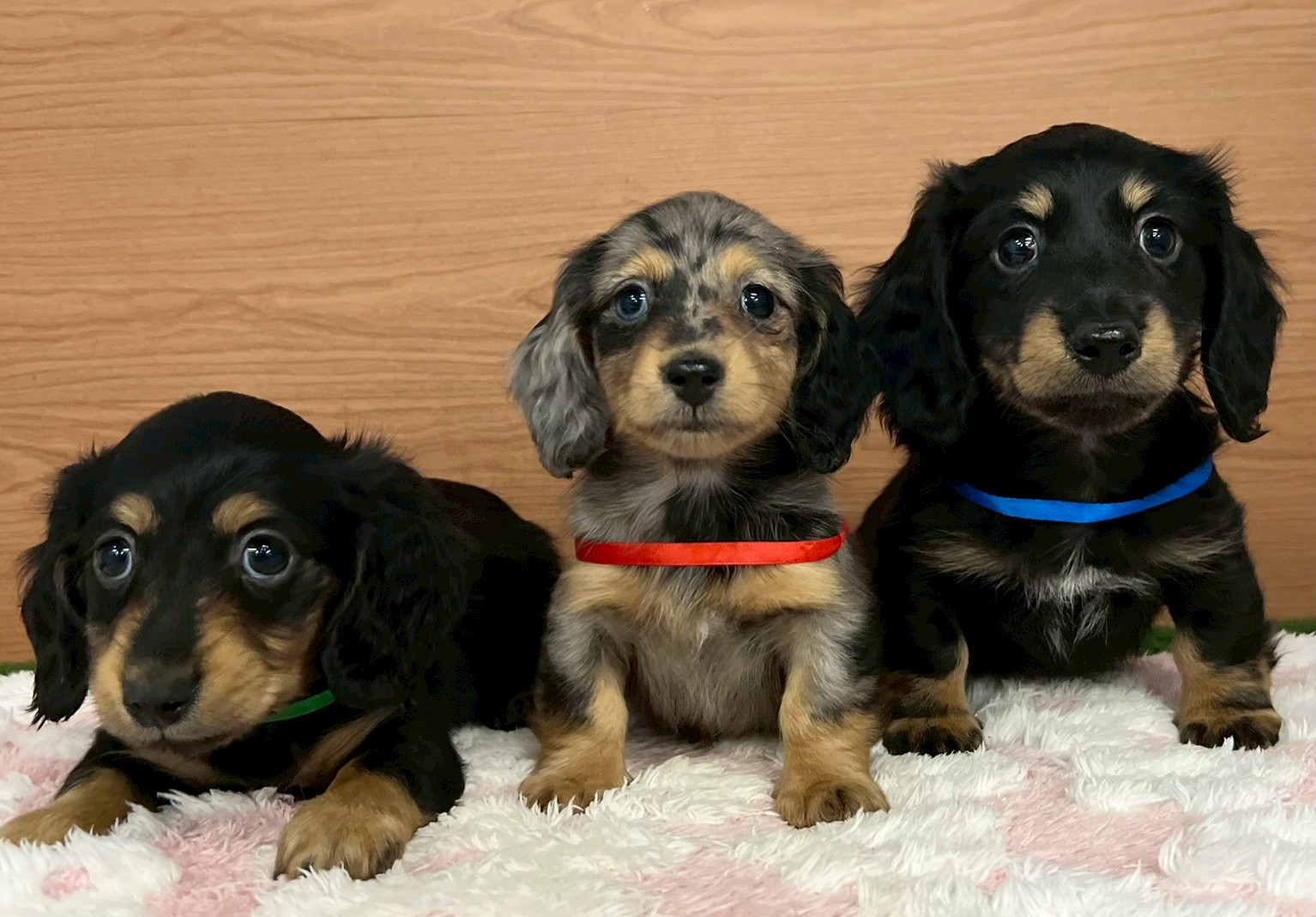 赤ちゃん写真3-3