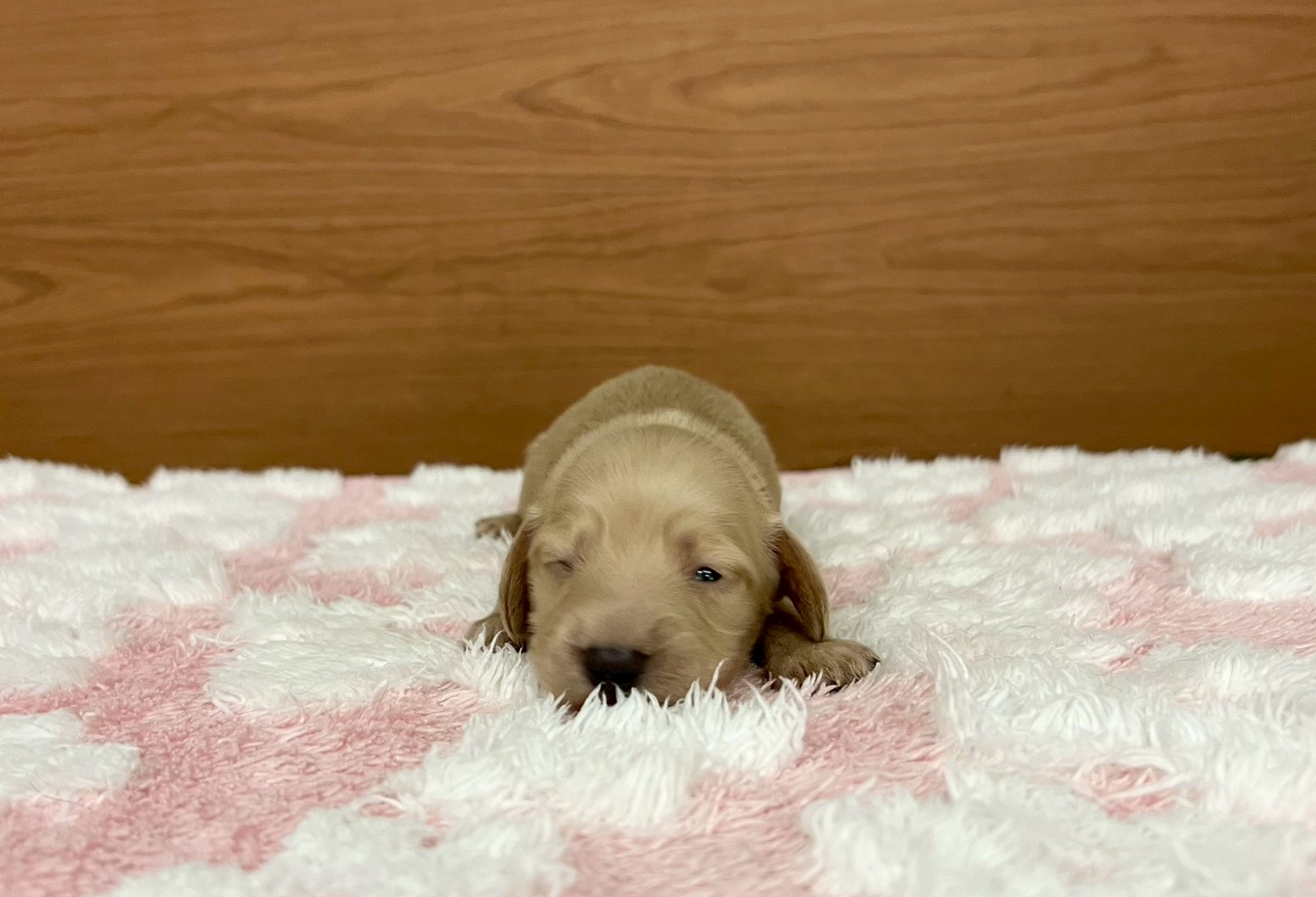 赤ちゃん写真1-1