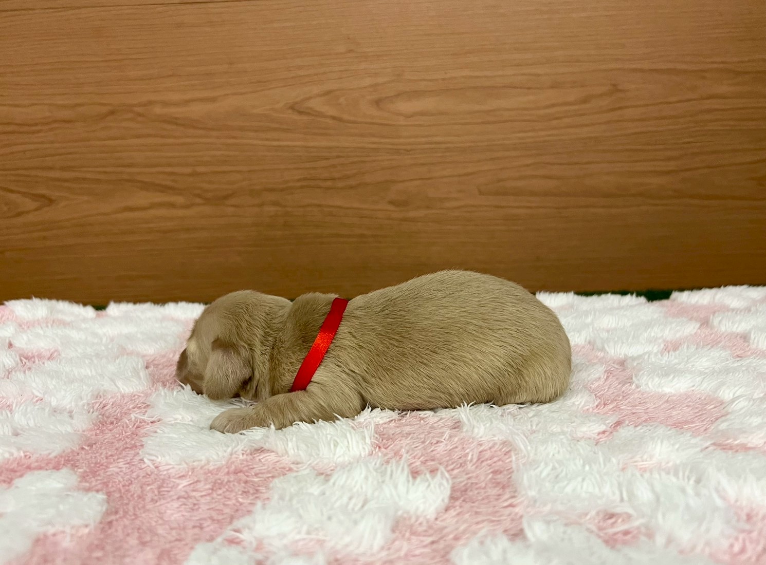 赤ちゃん写真1-2