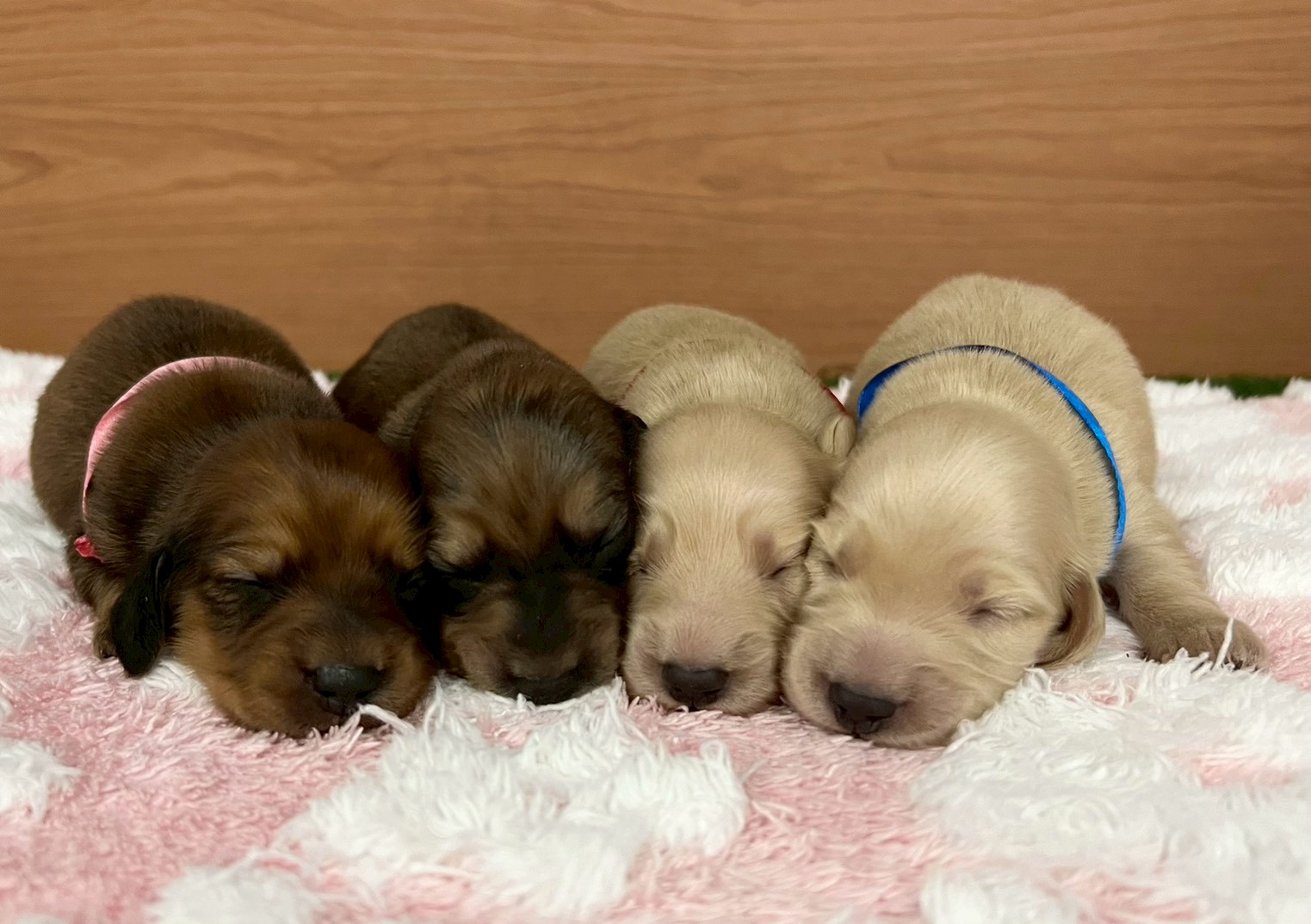 赤ちゃん写真1-3