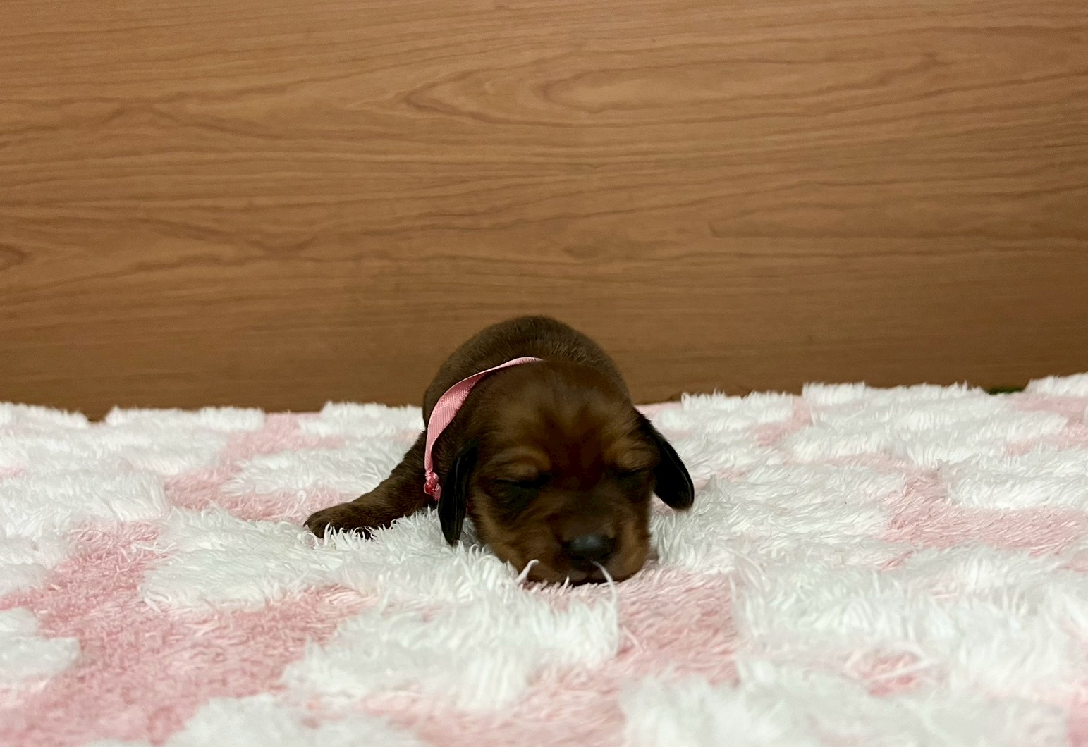 赤ちゃん写真1-1