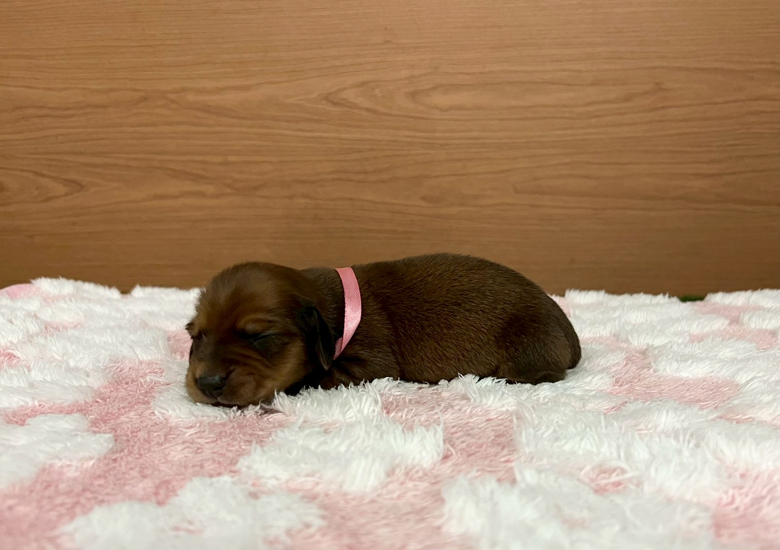 赤ちゃん写真1-2