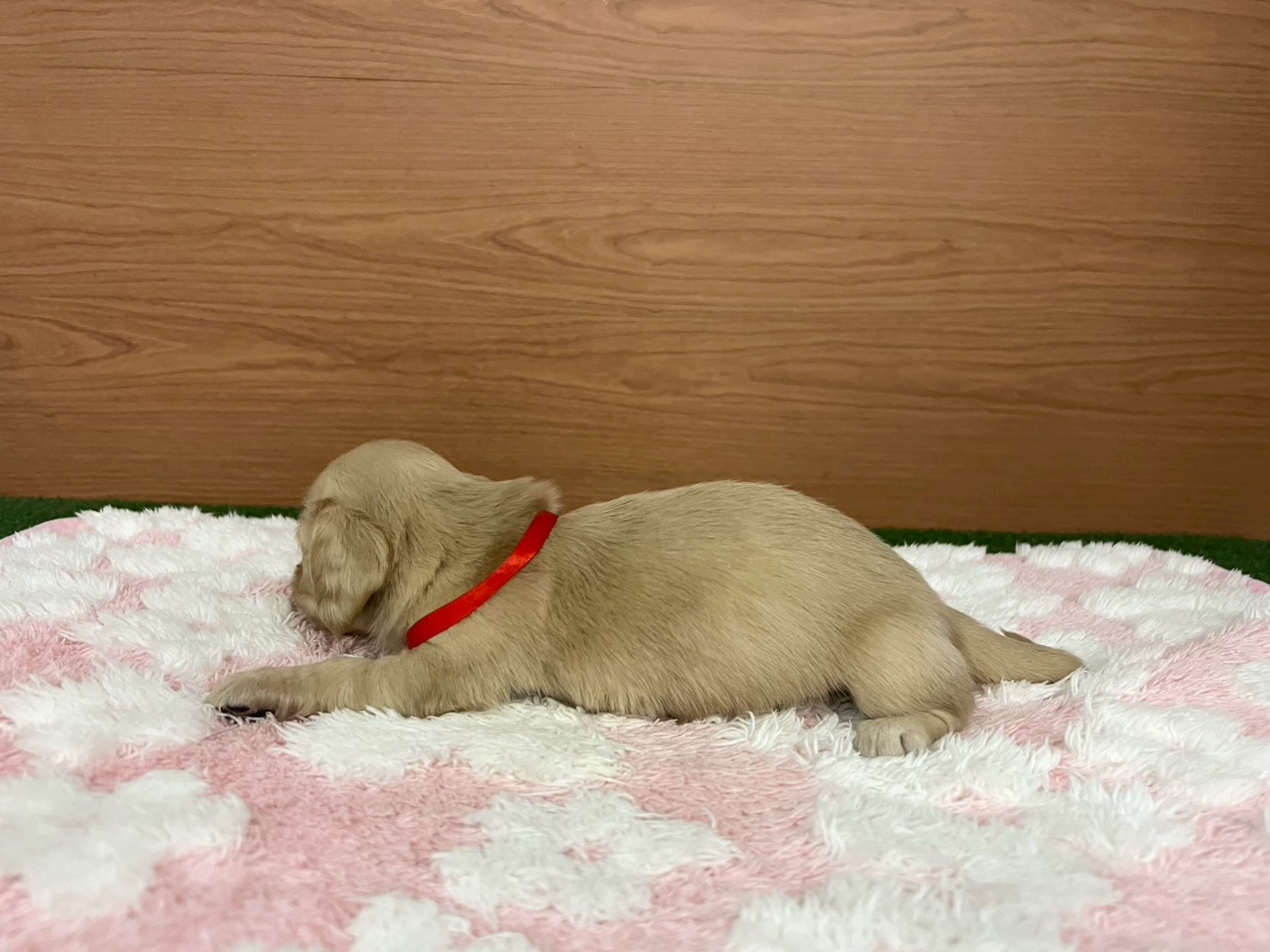 赤ちゃん写真2-2