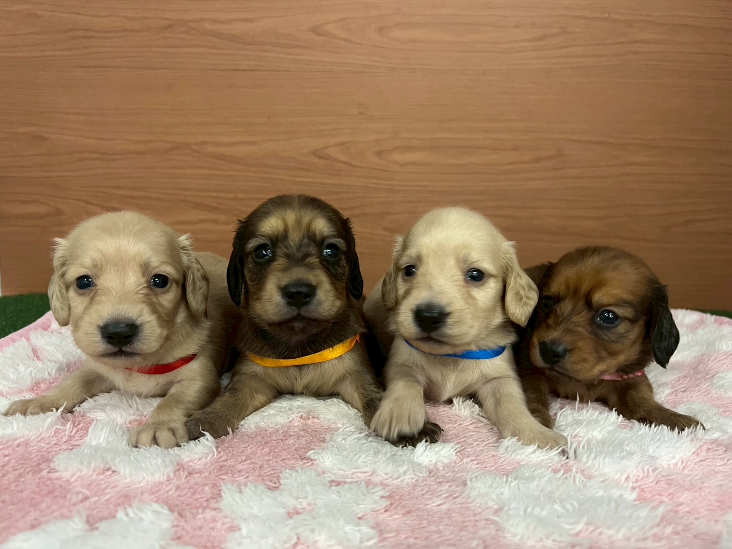 赤ちゃん写真2-3