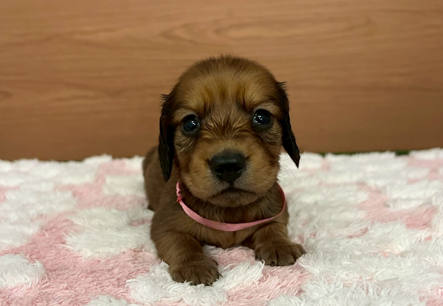 赤ちゃん写真2-1