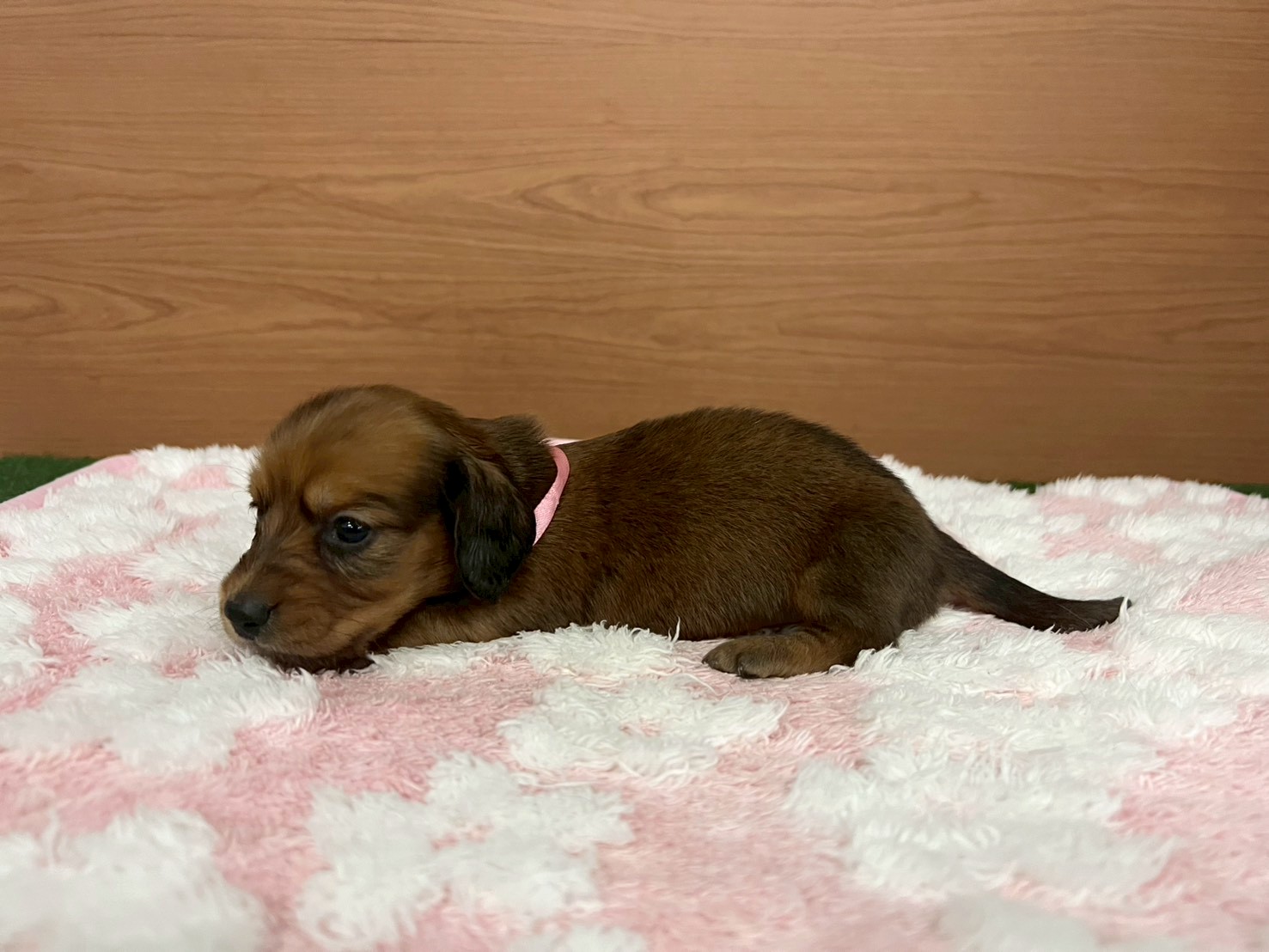 赤ちゃん写真2-2