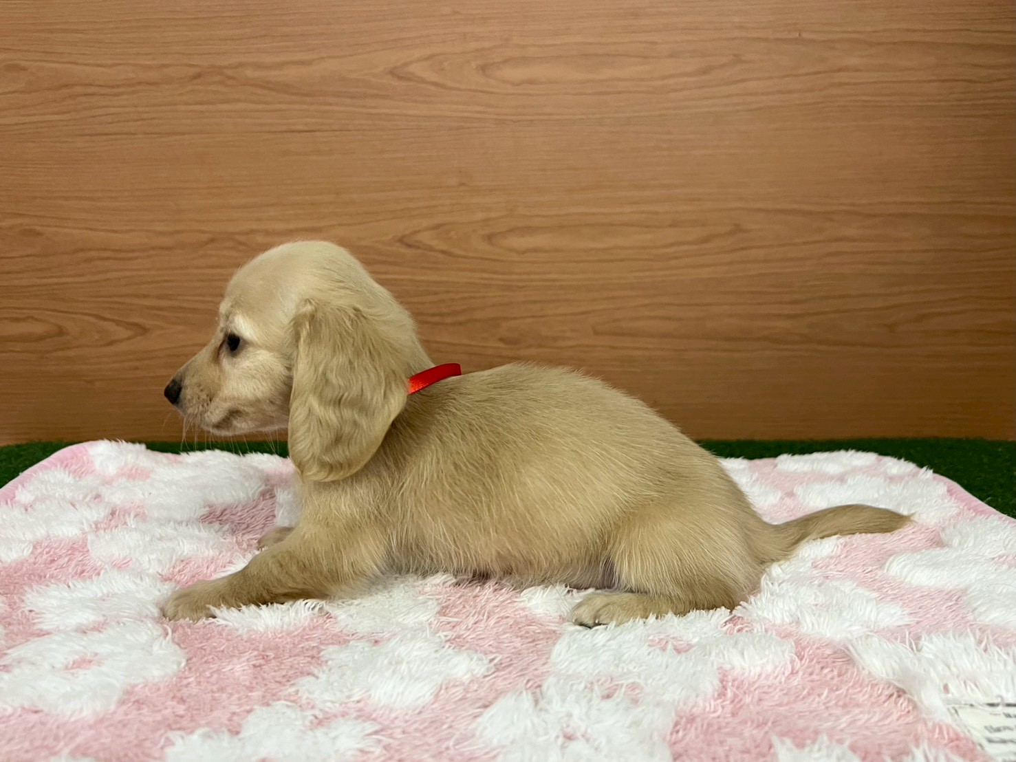 赤ちゃん写真3-2